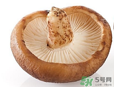 什么病不能吃香菇？香菇不能和什么一起吃