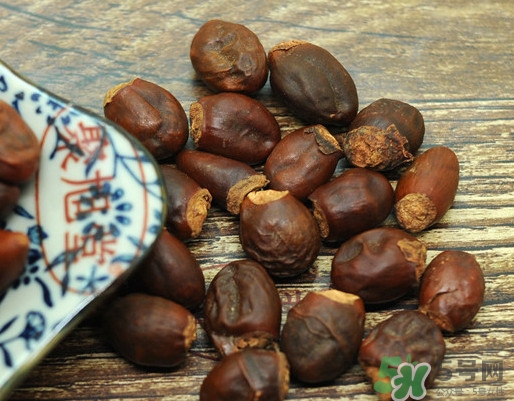 龍眼核能種嗎？龍眼核怎么種盆栽