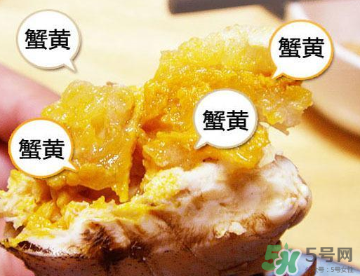 六月黃大閘蟹好吃嗎？六月黃和大閘蟹有什么區(qū)別？