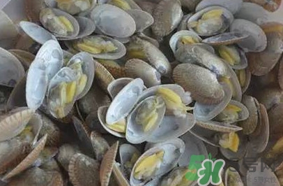 花蛤蜊什么時候最肥？花蛤蜊怎么挑選