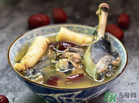 三伏天可以吃人參嗎？三伏天吃人參好嗎？