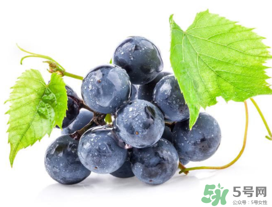 夏黑葡萄為什么掉色？夏黑葡萄怎么會染色？