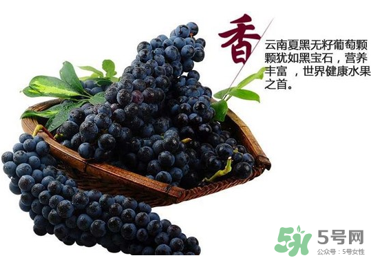 夏黑葡萄怎么保存？夏黑葡萄可以放冰箱嗎？