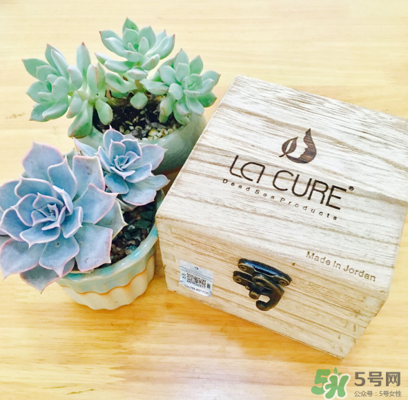 天然死海礦物泥面膜怎么樣？天然死海礦物泥面膜好用嗎？