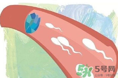 男性避孕藥什么牌子好？男性避孕藥多少錢一盒？