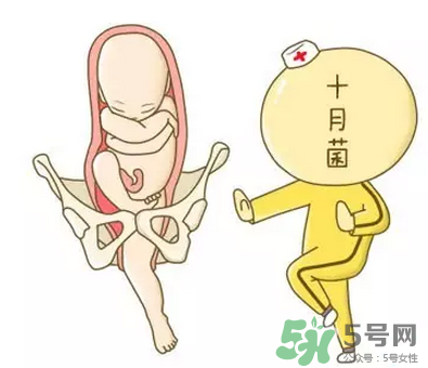 胎位不正能順產(chǎn)嗎？胎位不正怎么辦？