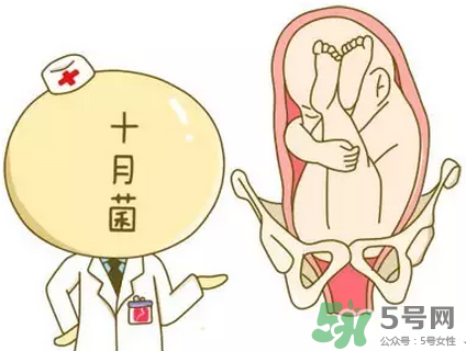 胎位不正能順產(chǎn)嗎？胎位不正怎么辦？