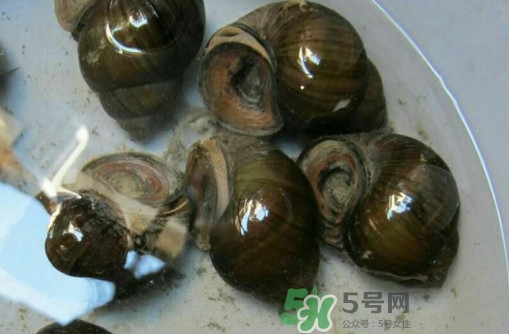 田螺里面都可以吃嗎？田螺不能和什么同食