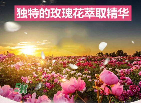 資生堂玫瑰園沐浴露怎么樣？資生堂玫瑰園沐浴露多少錢