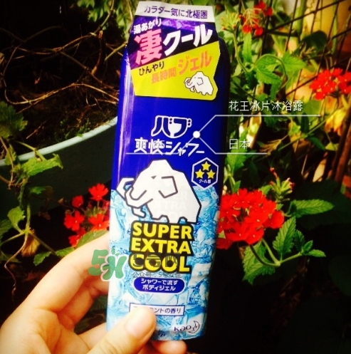 花王kao冰片沐浴露怎么樣？花王冰片沐浴露哪款好？