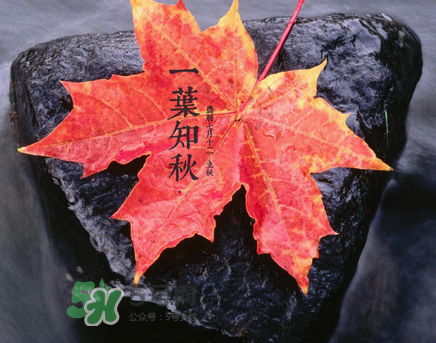 立秋后就是秋天了嗎？立秋后就涼快了嗎？