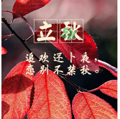 立秋后就是秋天了嗎？立秋后就涼快了嗎？