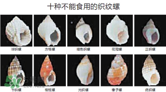 哪些人不能吃田螺？哪些田螺不能吃