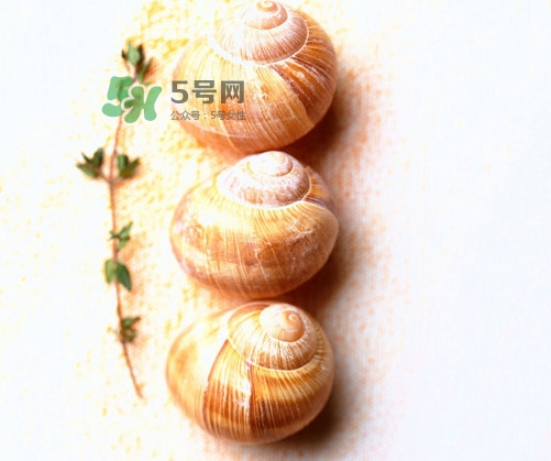 田螺是寒性的嗎？田螺煮多久殺死寄生蟲