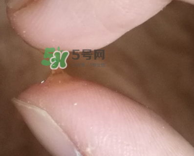 SKINCEUTICALS修麗可夜間精華怎么樣_好用嗎？