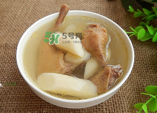三伏天能吃鴿子嗎？三伏天能喝鴿子湯嗎？