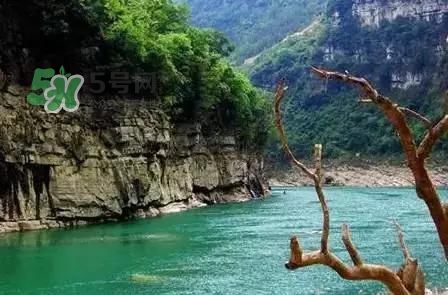 漂流需要準(zhǔn)備什么東西？漂流哪里最好玩？
