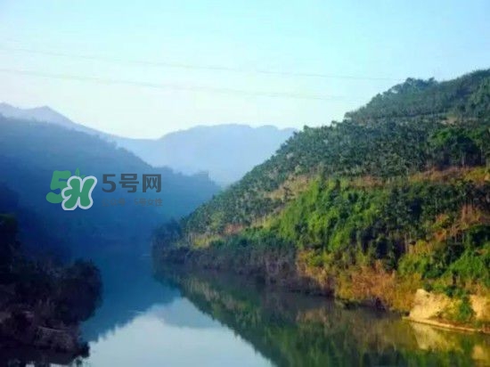 漂流需要準(zhǔn)備什么東西？漂流哪里最好玩？