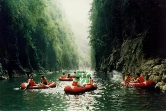 漂流需要準(zhǔn)備什么東西？漂流哪里最好玩？