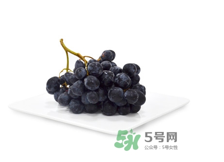 黑提有籽嗎？黑提是什么季節(jié)的水果
