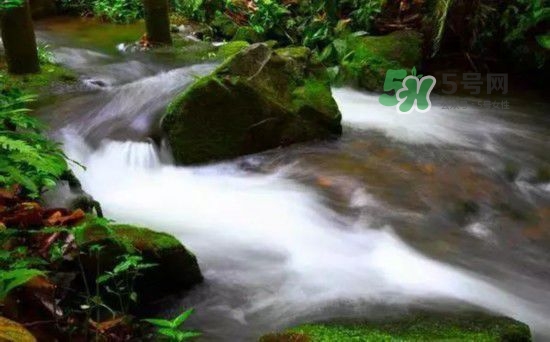 漂流需要準(zhǔn)備什么東西？漂流哪里最好玩？