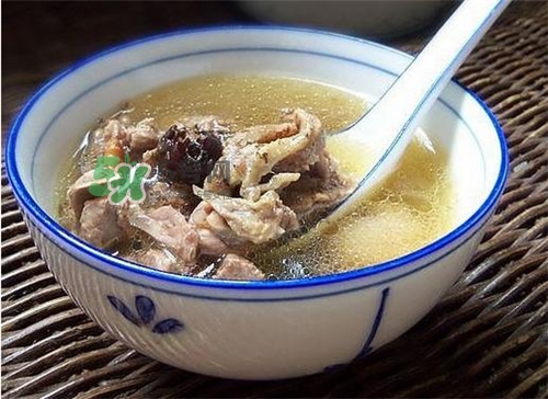 三伏天能吃鴿子嗎？三伏天能喝鴿子湯嗎？