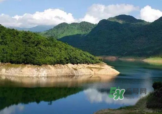 漂流需要準(zhǔn)備什么東西？漂流哪里最好玩？