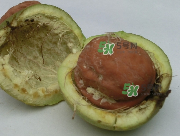 核桃最外面的青皮有什么用？為什么摸了核桃的青皮手會(huì)黑？