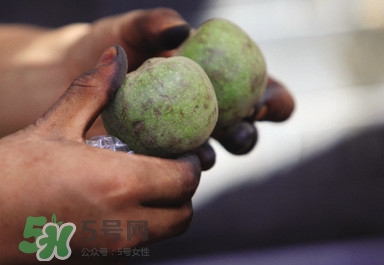 青皮核桃哪里有賣？哪里可以買到青皮核桃