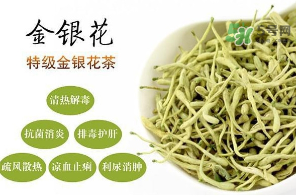 金銀花茶是去火的嗎？金銀花茶有什么功效與作用