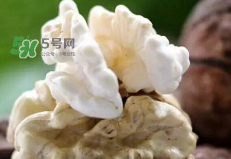 青皮核桃?guī)捉锍鲆唤锔珊颂?？青皮核桃什么時(shí)候成熟