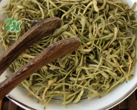 金銀花茶苦嗎？喝金銀花茶需要注意什么