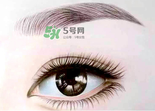 三伏天能紋眉嗎？三伏天紋眉毛好嗎？