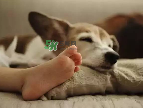 點(diǎn)20盤蚊香開(kāi)空調(diào)睡中毒 開(kāi)空調(diào)能點(diǎn)蚊香嗎？
