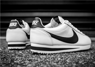 nike cortez leather yin yang陰陽配色多少錢？