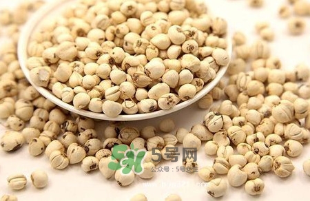 川貝母是苦的嗎？川貝母是涼性的嗎