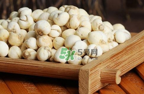 川貝母可以直接吃嗎？川貝母可以泡水喝嗎