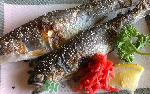 鱒魚(yú)是三文魚(yú)嗎？鱒魚(yú)是什么魚(yú)