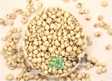 川貝母是苦的嗎？川貝母是涼性的嗎