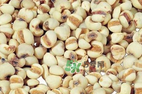 川貝母可以直接吃嗎？川貝母可以泡水喝嗎