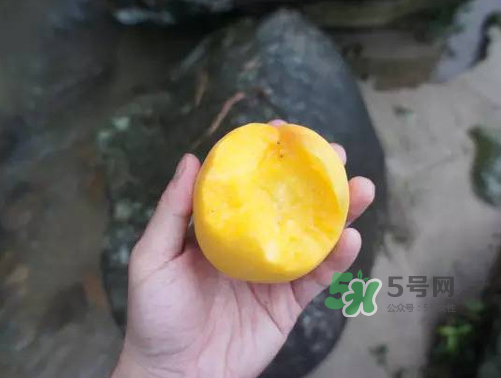 炎陵黃桃什么時(shí)候成熟？炎陵黃桃好吃嗎？