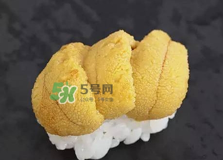 海膽怎么處理？海膽可以生吃嗎？