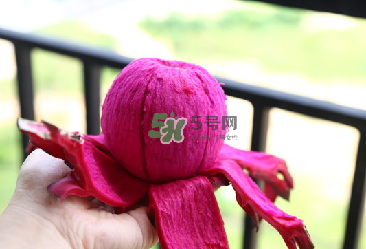 紅心火龍果能天天吃嗎？每天吃一個紅心火龍果好嗎？