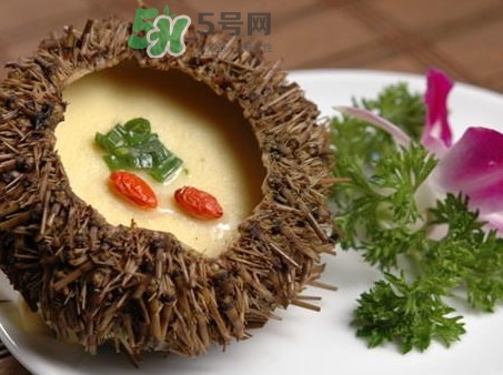 海膽死了還能吃嗎？海膽不能跟什么一起吃