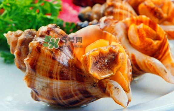 為什么海螺殼里面會有聲音？海螺和韭菜能不能一起吃