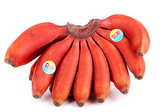 紅香蕉是哪里的特產(chǎn)？紅香蕉什么時候成熟？