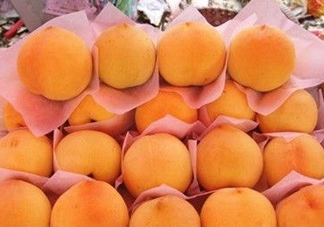 錦繡黃桃什么時(shí)候成熟？錦繡黃桃?guī)自鲁墒欤?><p><strong>錦繡黃桃什么時(shí)候成熟？錦繡黃桃?guī)自鲁墒欤?/strong></p></a></li> <li><a href=