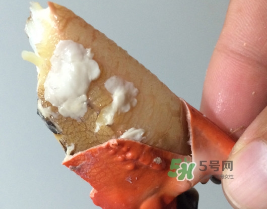 赤甲紅有母蟹嗎？赤甲紅為什么沒有母蟹？