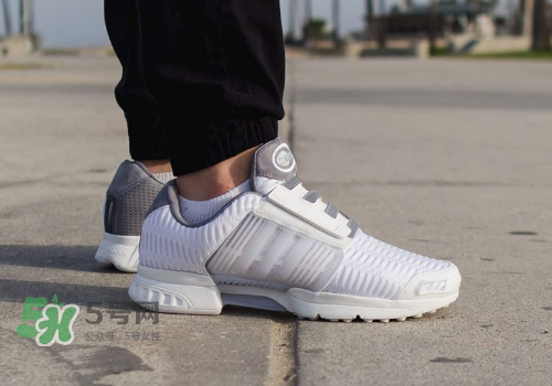 adidas climacool los angeles洛杉磯別注款怎么買_在哪買？