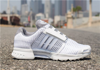 adidas climacool los angeles洛杉磯別注款怎么買_在哪買？